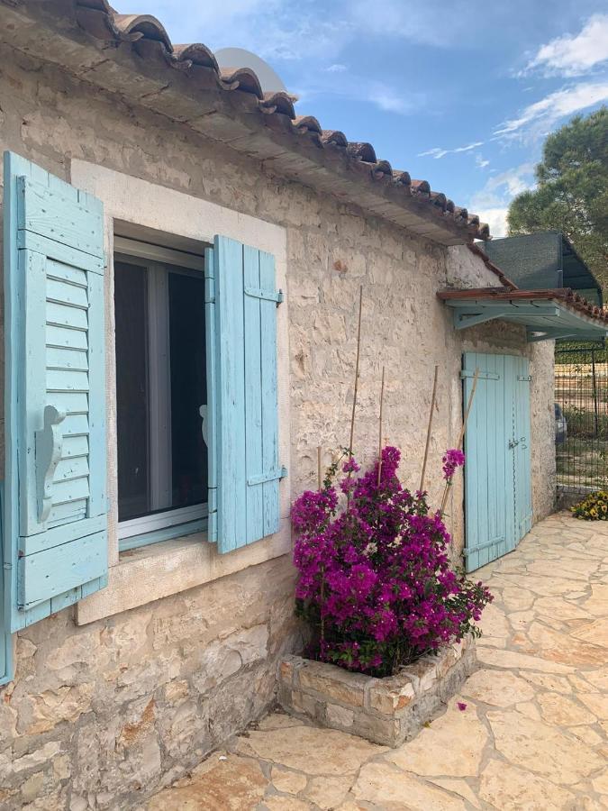 Vila Majda Tar-Vabriga Exteriér fotografie