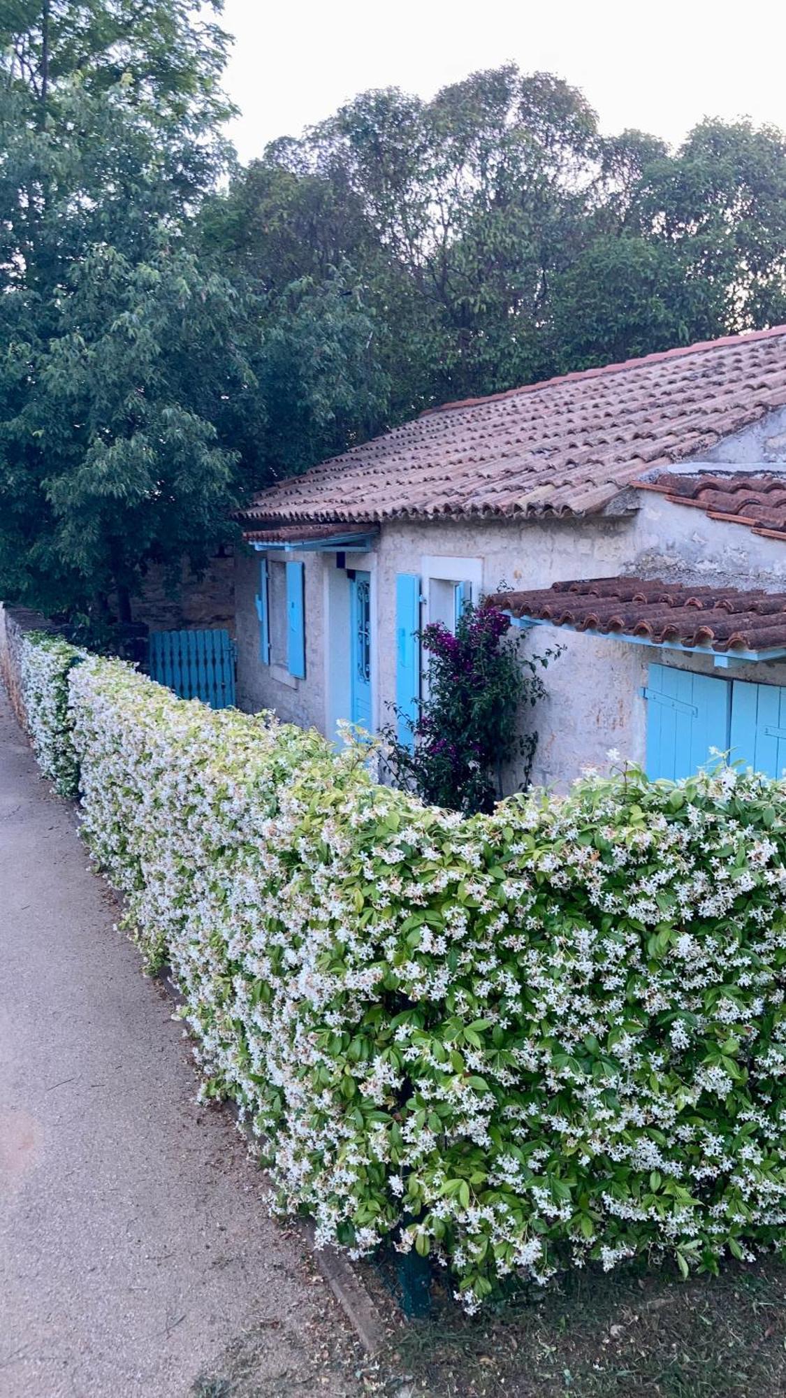 Vila Majda Tar-Vabriga Exteriér fotografie
